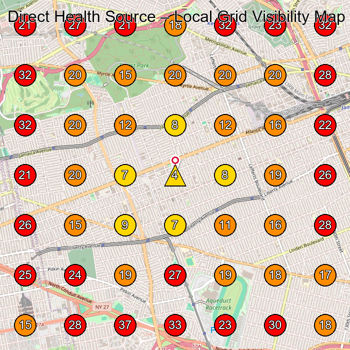 Direct Health Source GeoGrid visibility map for Home Health Care Service in Ozone Park